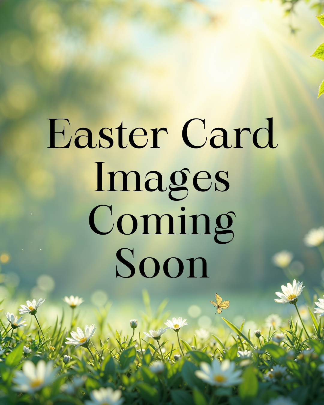 Spring & Easter Workshop Full Day Bundle March 14, 2026